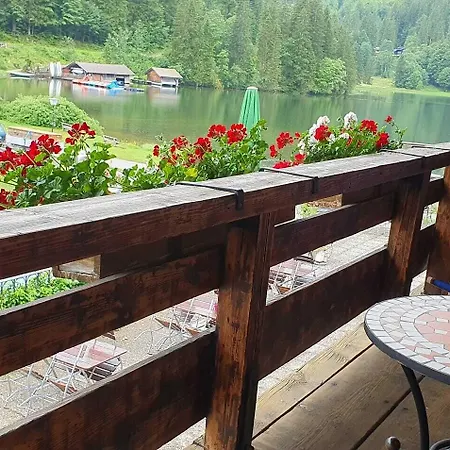Pensionat Berggasthof Willy Merkl Haus 3*