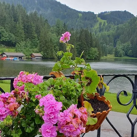 Pensionat Berggasthof Willy Merkl Haus 3*