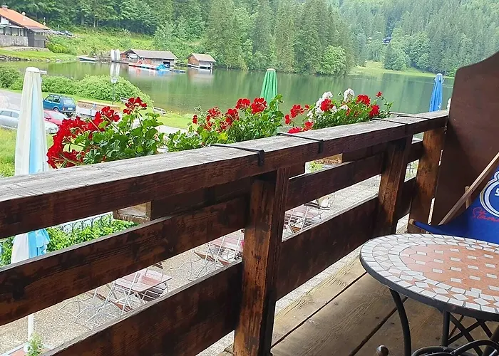 Gasthuis Berggasthof Willy Merkl Haus 3*