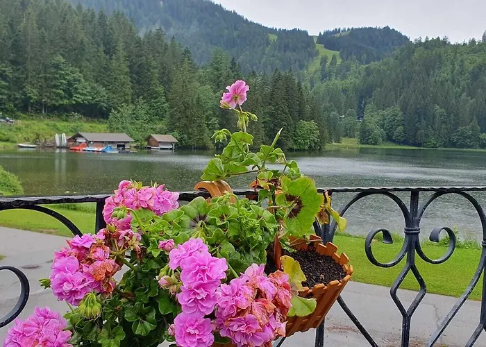 Gasthuis Berggasthof Willy Merkl Haus 3*