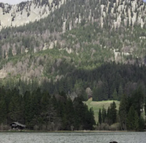 Gasthuis Berggasthof Willy Merkl Haus Spitzingsee