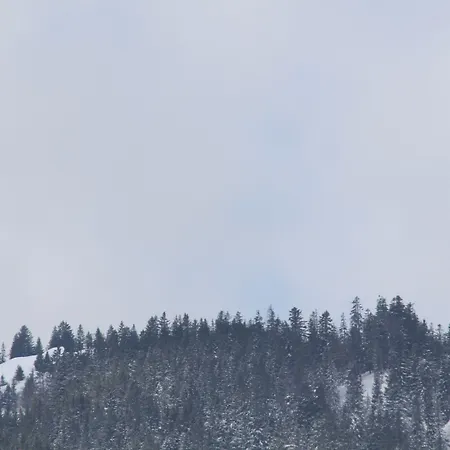 Gæstehus Berggasthof Willy Merkl Haus Spitzingsee