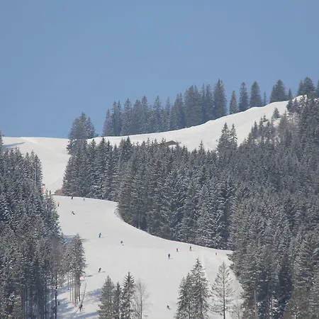 Berggasthof Willy Merkl Haus